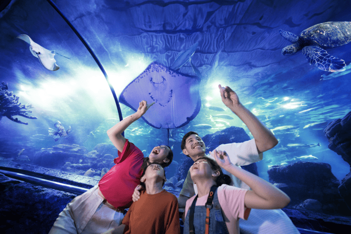 Lebaran Hemat di Sea World Ancol yuk!